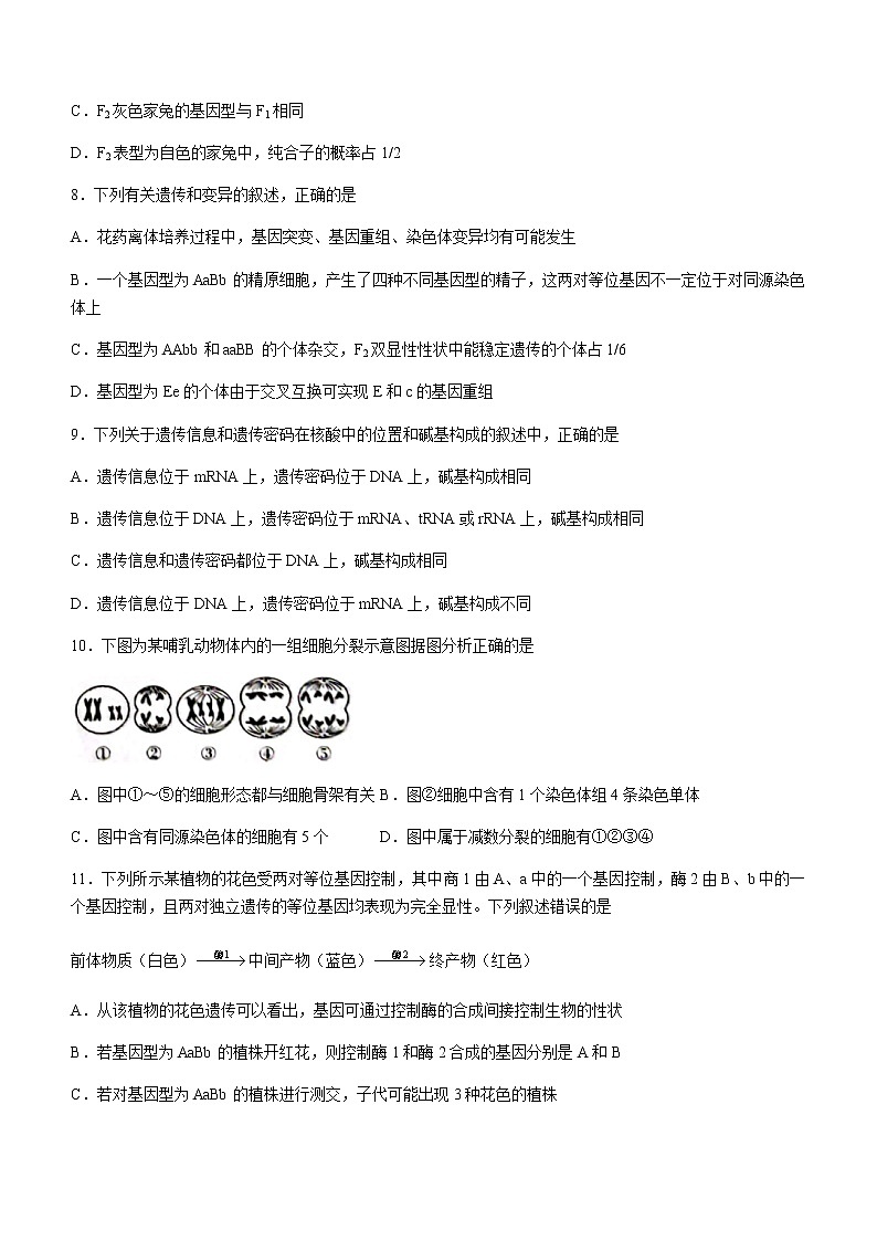 2021白城一中、大安一中、通榆一中、洮南一中、镇赉一中高一下学期期末考试生物试题含答案第3页
