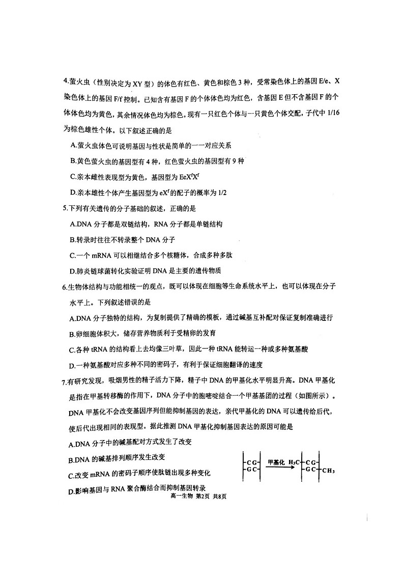 辽宁省锦州市2020-2021学年高一下学期期末考试生物试题（图片版）第2页