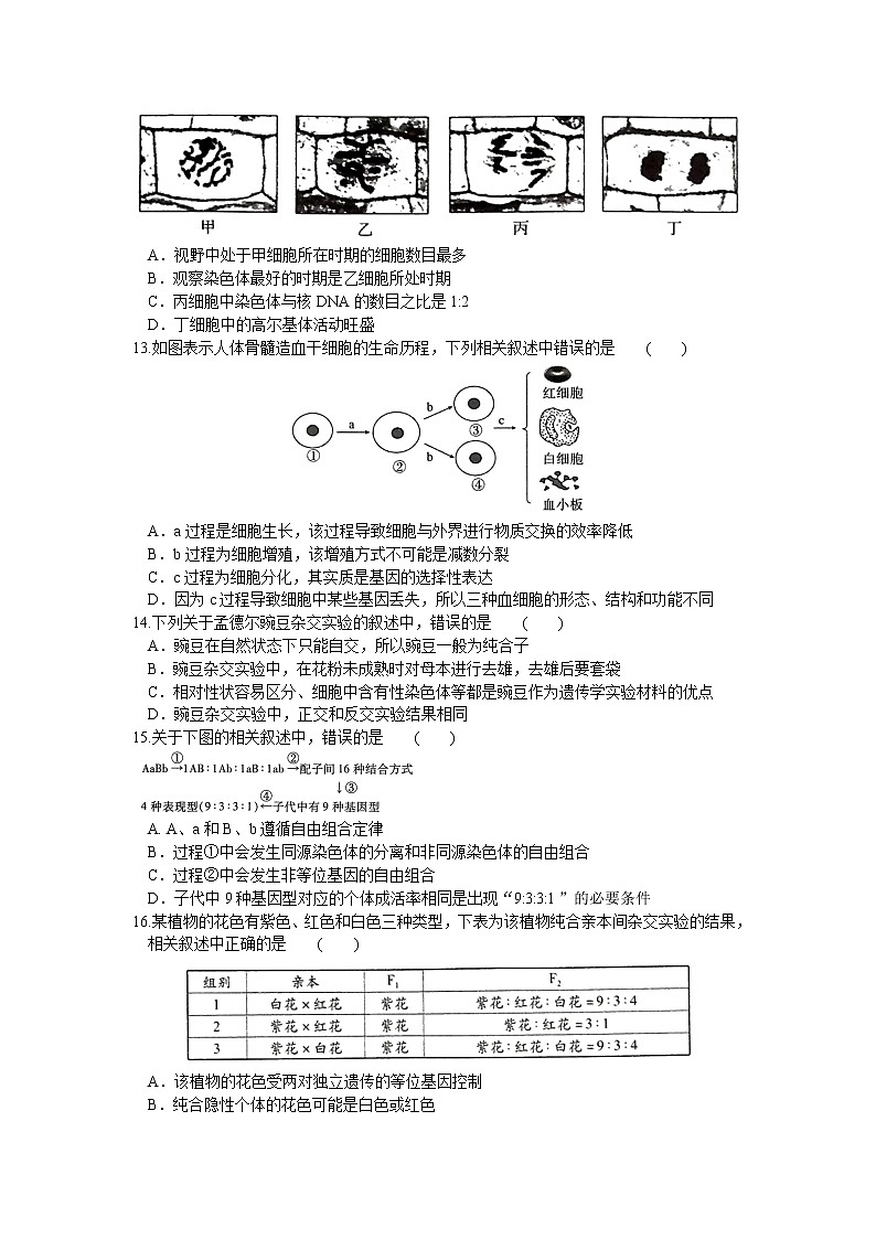 2021河南省名校联盟高一下学期期末考试生物试题含答案第3页