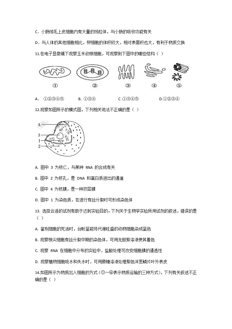 2020-2021学年高一下学期期末考试生物试题第3页