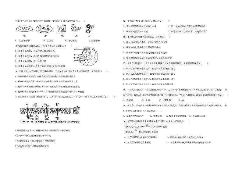 甘肃省会宁县第一中学2020-2021学年高一下学期期末考试生物试题（扫描版）第2页