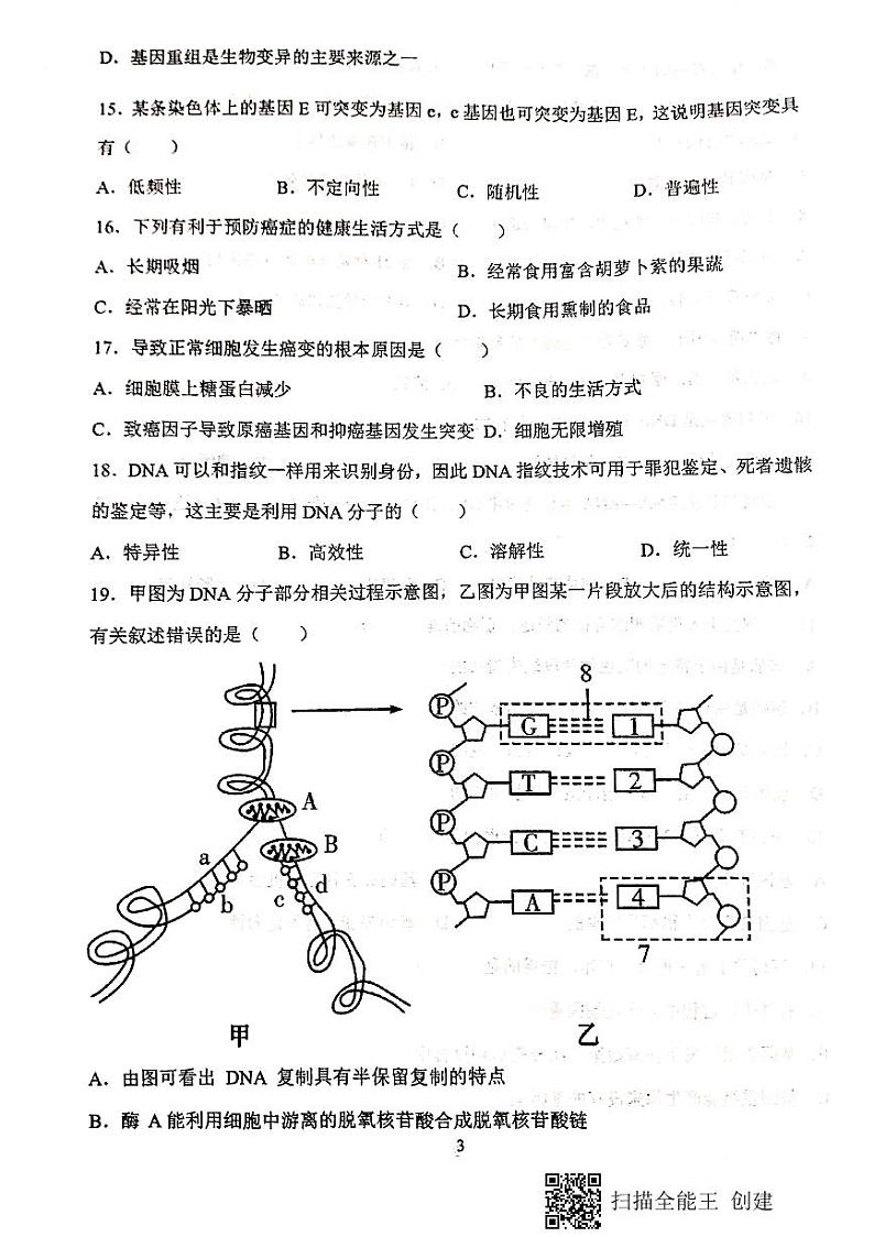 2021天水一中高一下学期期末考试生物（文）试题扫描版含答案03