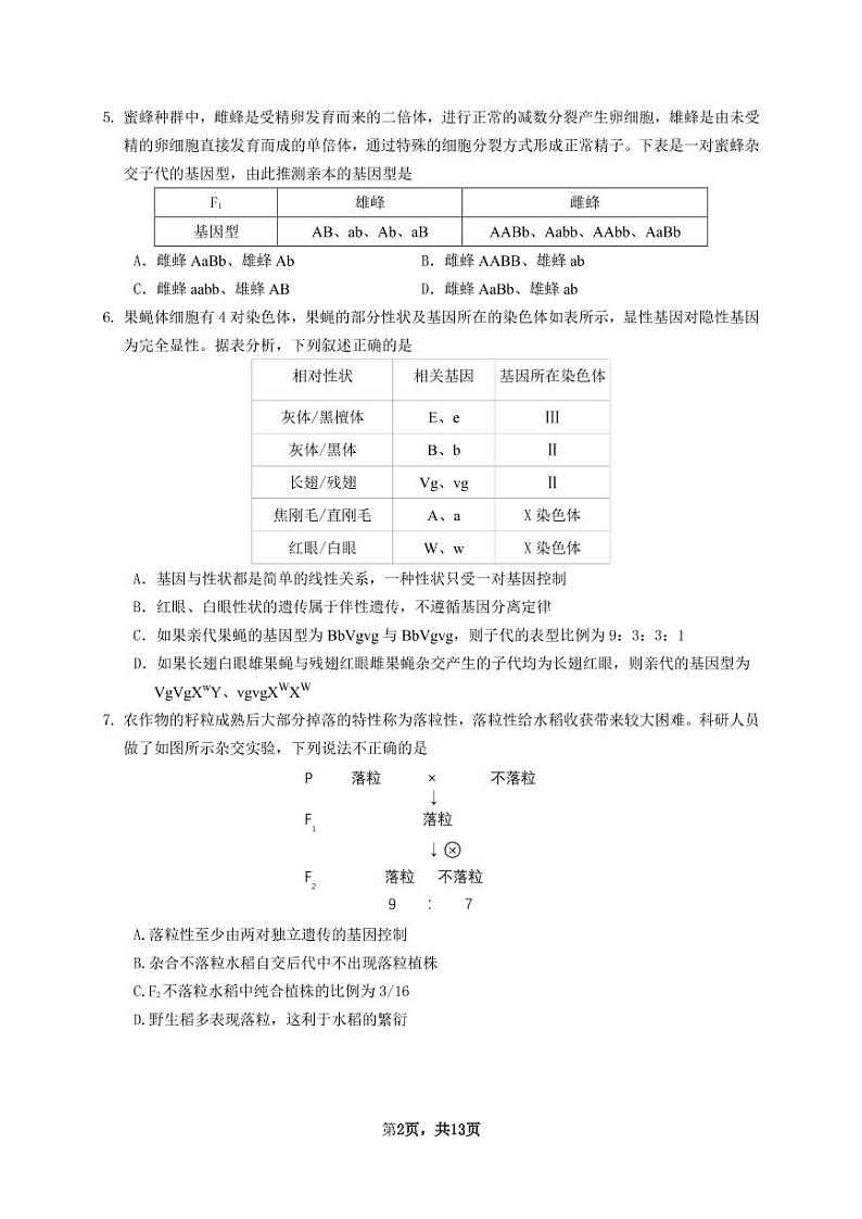 2020学年第二学期高一期末生物学（五校）试卷第2页