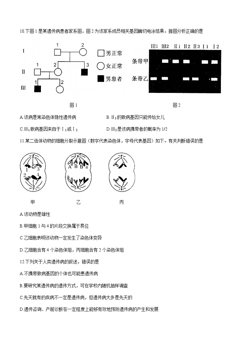 2021菏泽（一中系列）高一下学期期末考试生物试题（A）含答案第3页