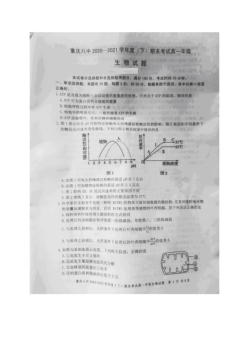 2021重庆市八中高一下学期期末考试生物试题扫描版含答案01