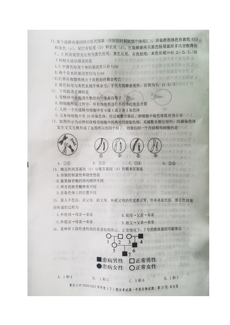 2021重庆市八中高一下学期期末考试生物试题扫描版含答案03