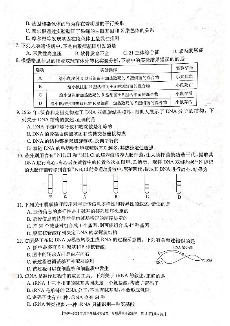 2021河南省高一下学期期末考试生物试题扫描版含答案第2页