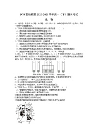 2021河南省名校联盟高一下学期期末考试生物试题含答案