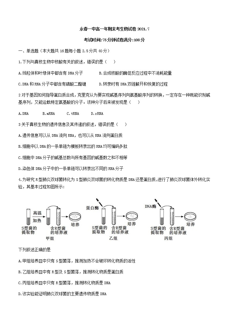 2021泉州永春一中高一下学期期末考试生物试题含答案第1页