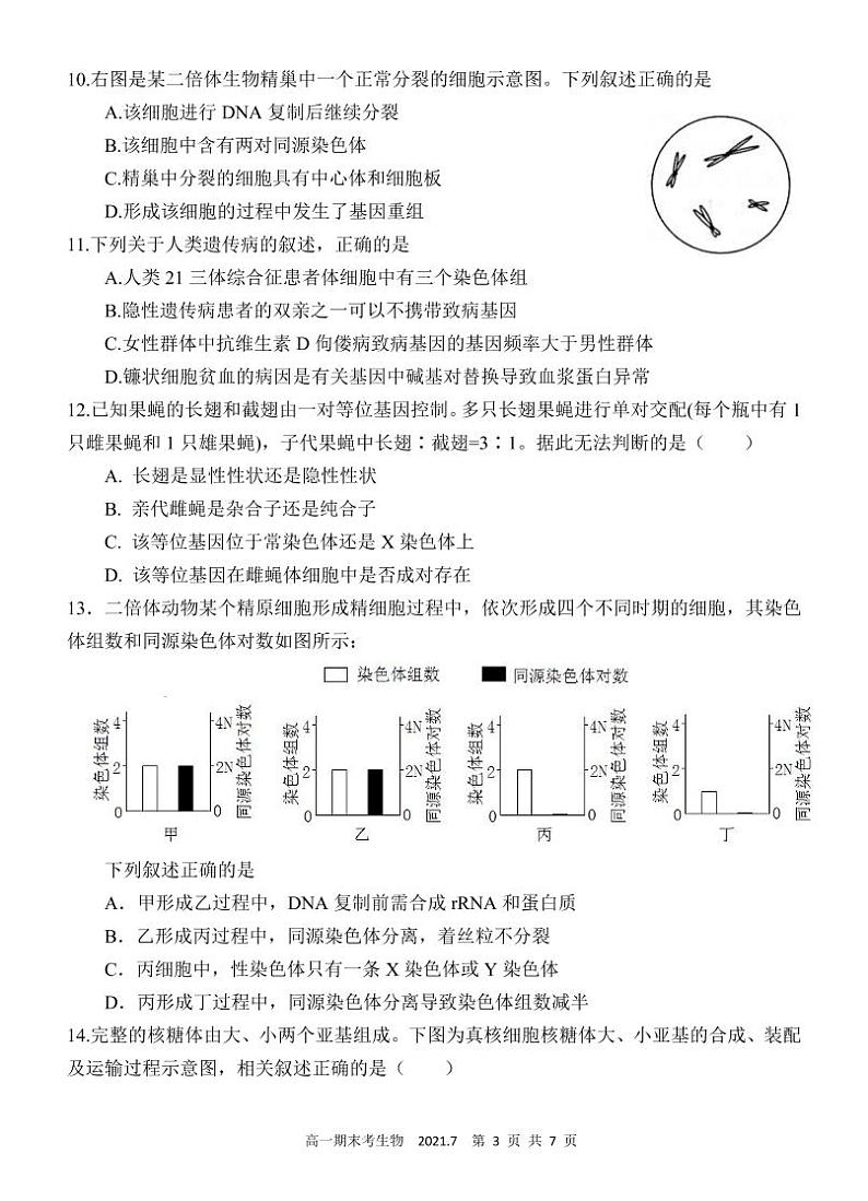 2021泉州永春一中高一下学期期末考试生物试题扫描版含答案03