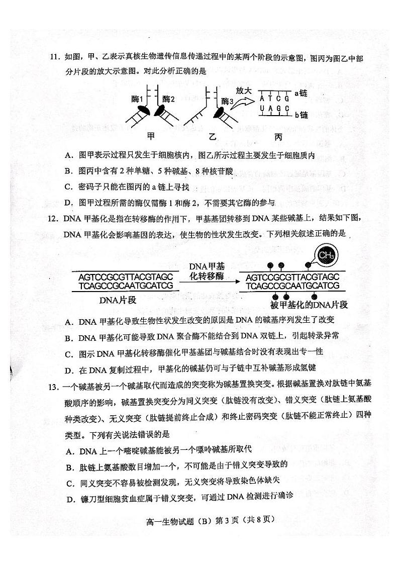 2021菏泽高一下学期期末考试生物试题（B）扫描版含答案03