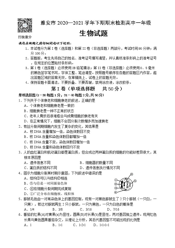四川省雅安市2020-2021学年高一下学期期末检测生物试题第1页