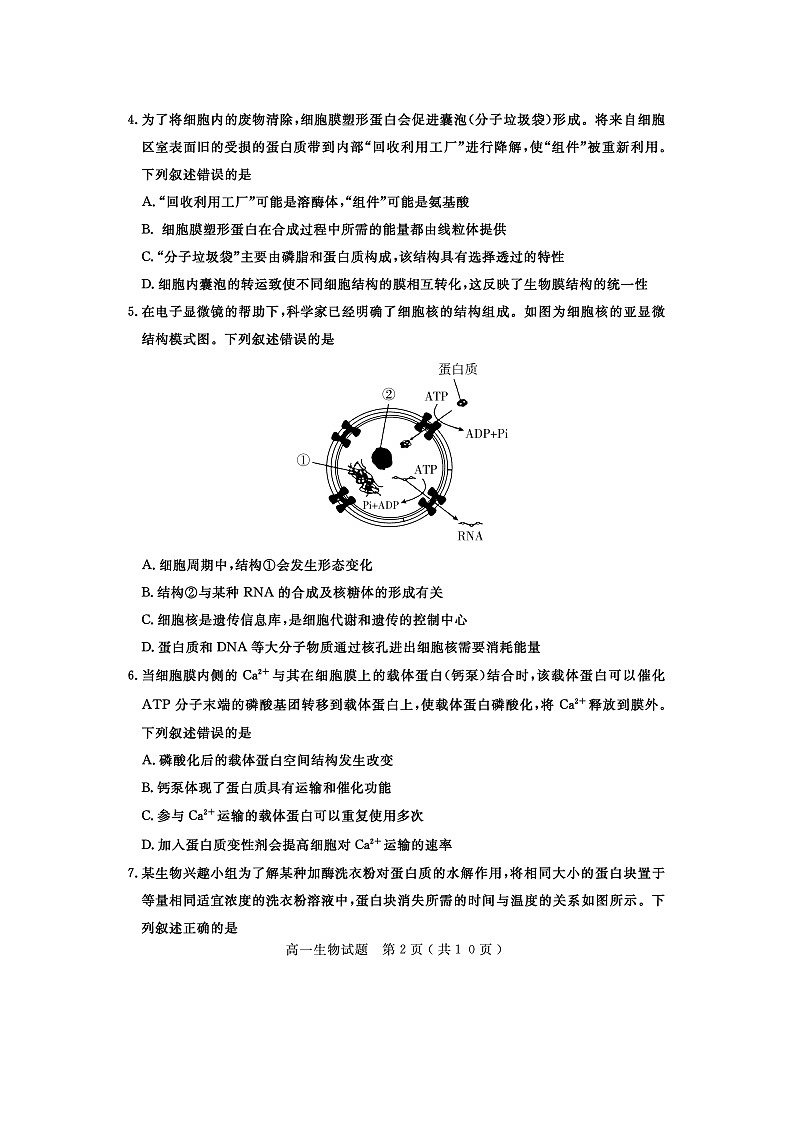 山东省济宁市2020-2021学年度高一下学期期末考试试题 生物 含答案第2页