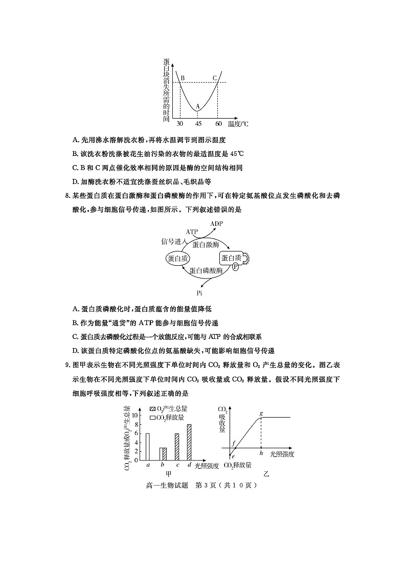 山东省济宁市2020-2021学年度高一下学期期末考试试题 生物 含答案第3页