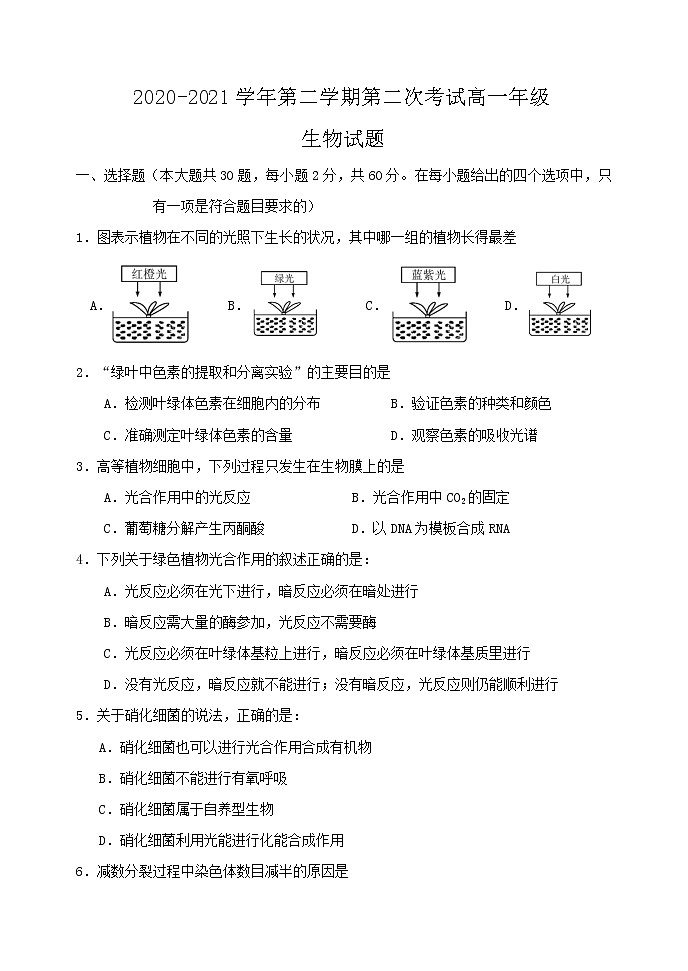 2021江门二中高一下学期第二次月考生物试题含答案01