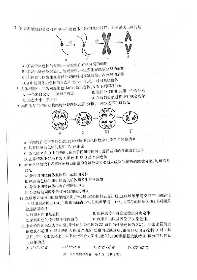 2021芜湖高一下学期期末生物试题扫描版含答案02