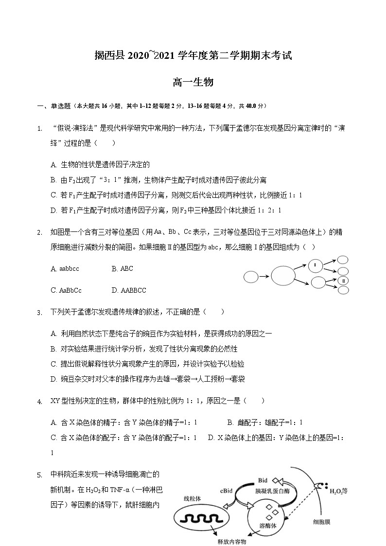 2021揭阳揭西县高一下学期期末考试生物试题含答案第1页
