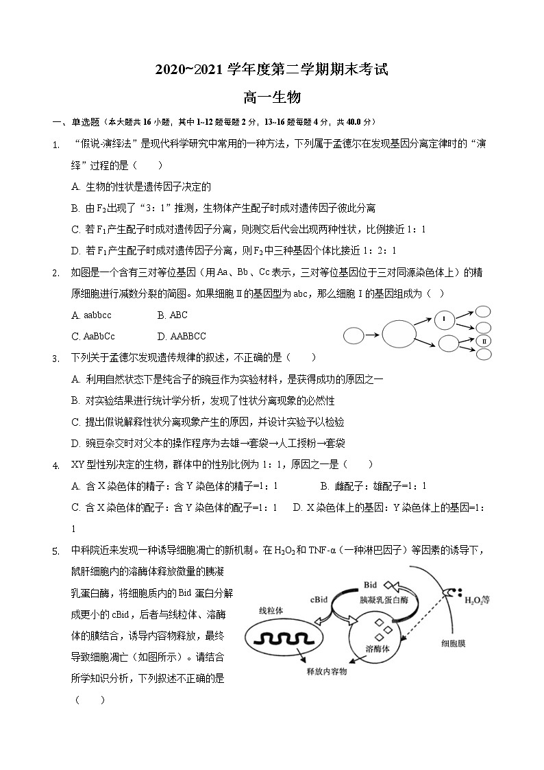 2021揭阳揭西县河婆中学高一下学期期末考试生物试题含答案第1页
