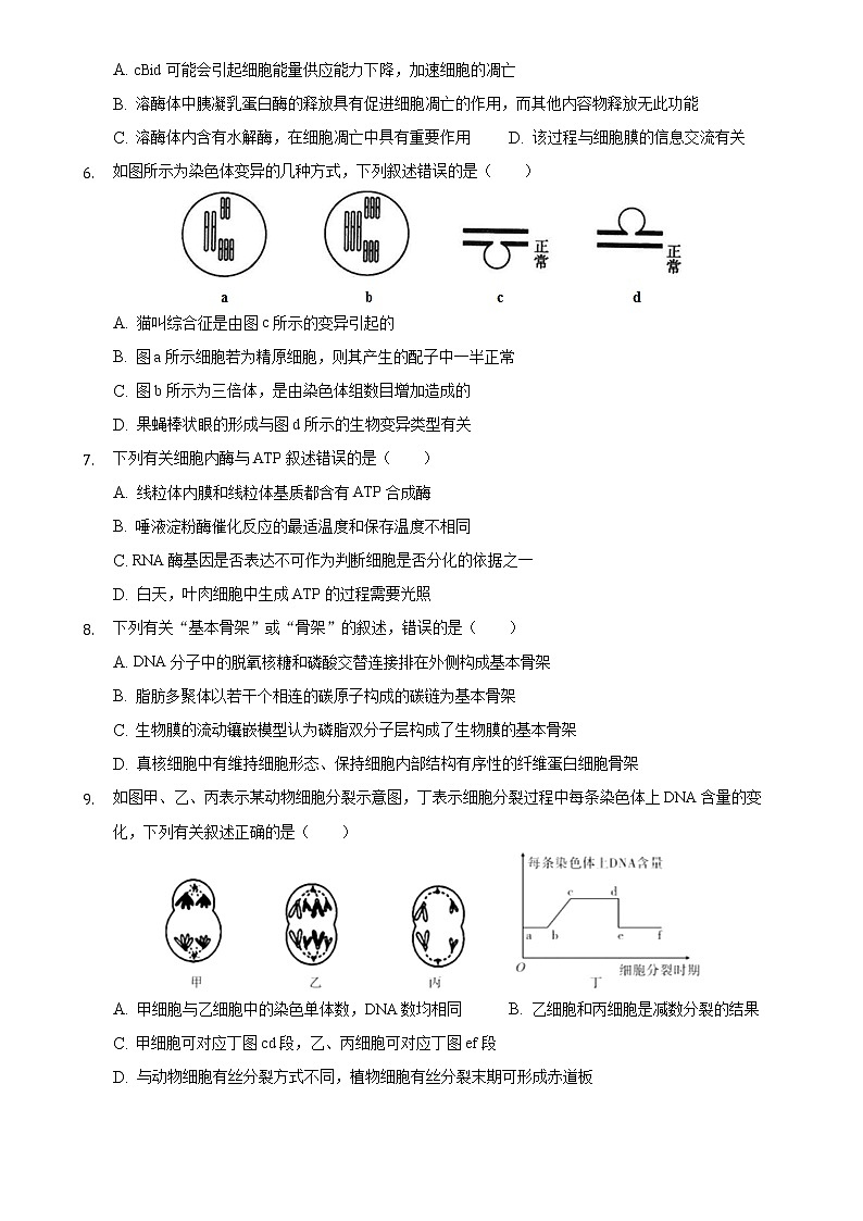 2021揭阳揭西县河婆中学高一下学期期末考试生物试题含答案第2页