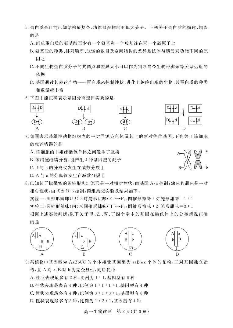 肇庆市2020—2021学年第二学期末高一年级教学质量检测生物试卷第2页