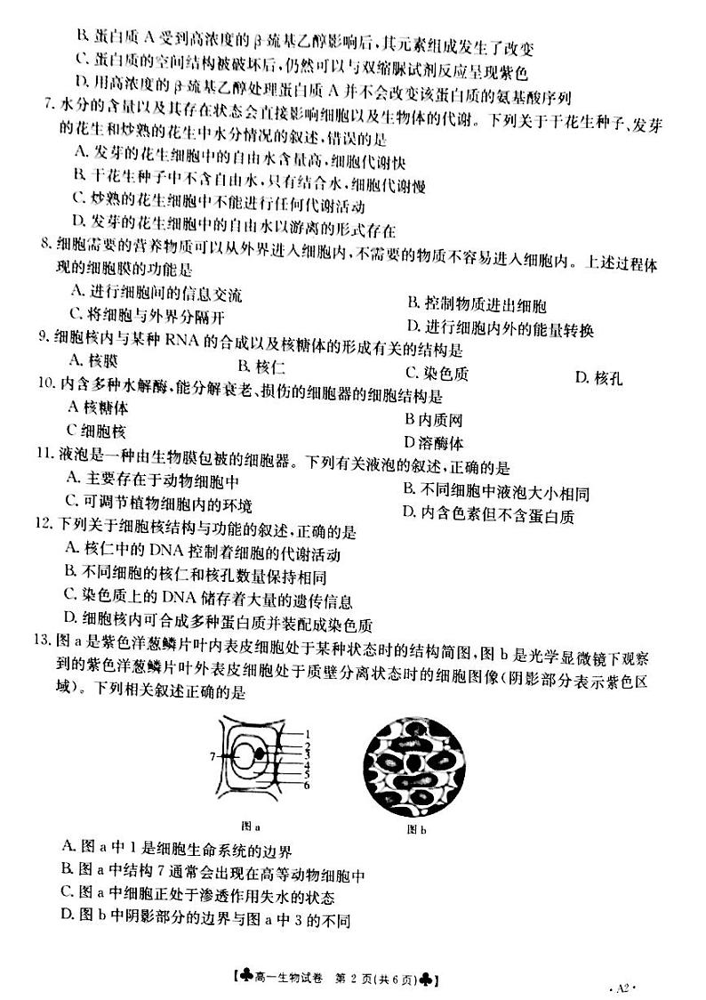甘肃省靖远县2020-2021学年高一下学期期末考试生物试题第2页