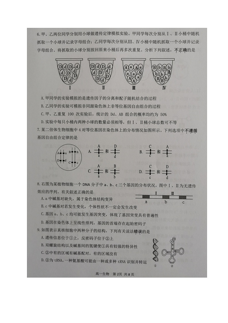 2021宿迁高一下学期期末考试生物试卷图片版含答案第2页