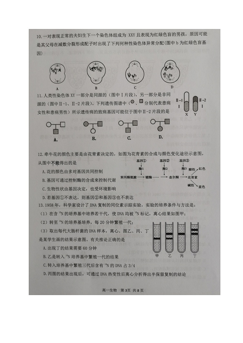 2021宿迁高一下学期期末考试生物试卷图片版含答案第3页