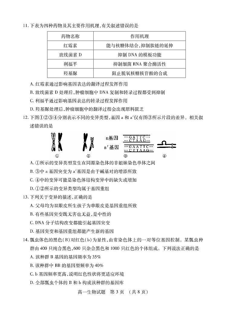 2021枣庄高一下学期期末考试生物试题PDF版含答案第3页
