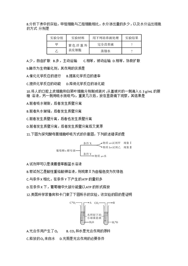 2021曲靖会泽县茚旺高级中学高一下学期6月月考生物试题含答案02