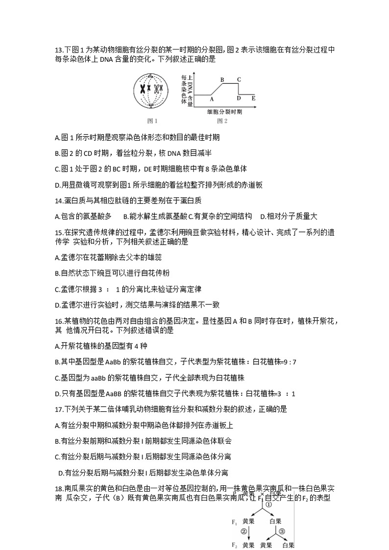 2021曲靖会泽县茚旺高级中学高一下学期6月月考生物试题含答案03