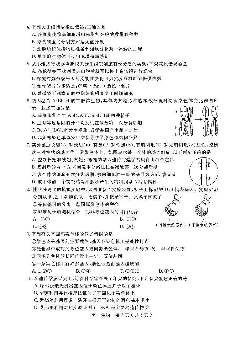 2021乐山高一下学期期末考试生物试题PDF版含答案第2页