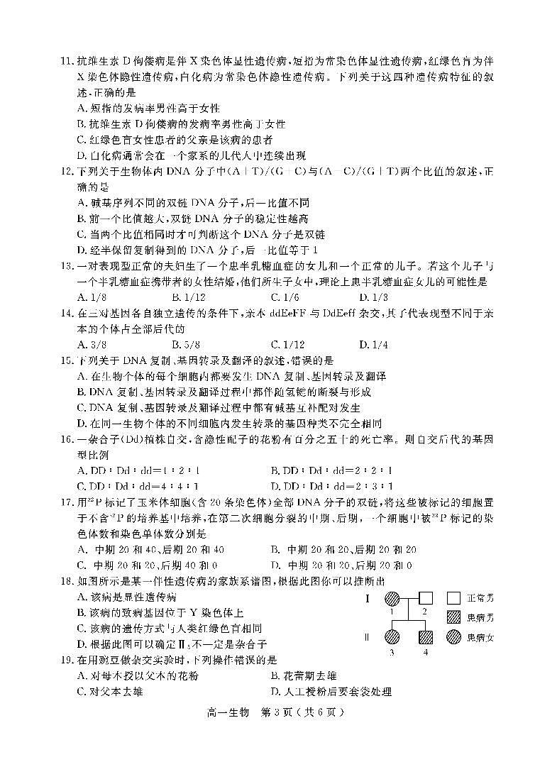 2021乐山高一下学期期末考试生物试题PDF版含答案第3页