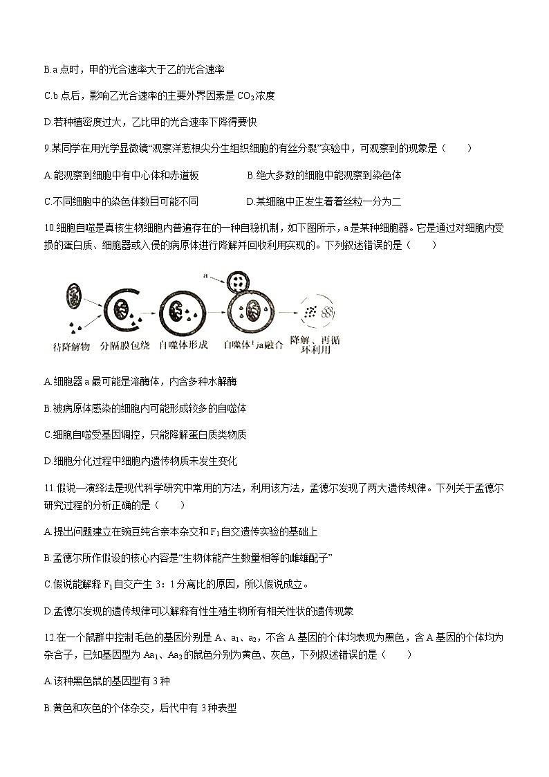 2021蚌埠太和中学高一下学期第四次月考生物试题含答案03