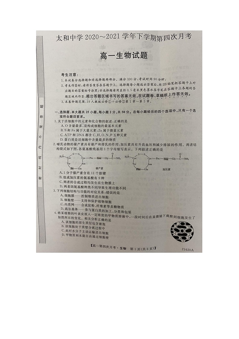 2021蚌埠太和中学高一下学期第四次月考生物试题扫描版含答案01