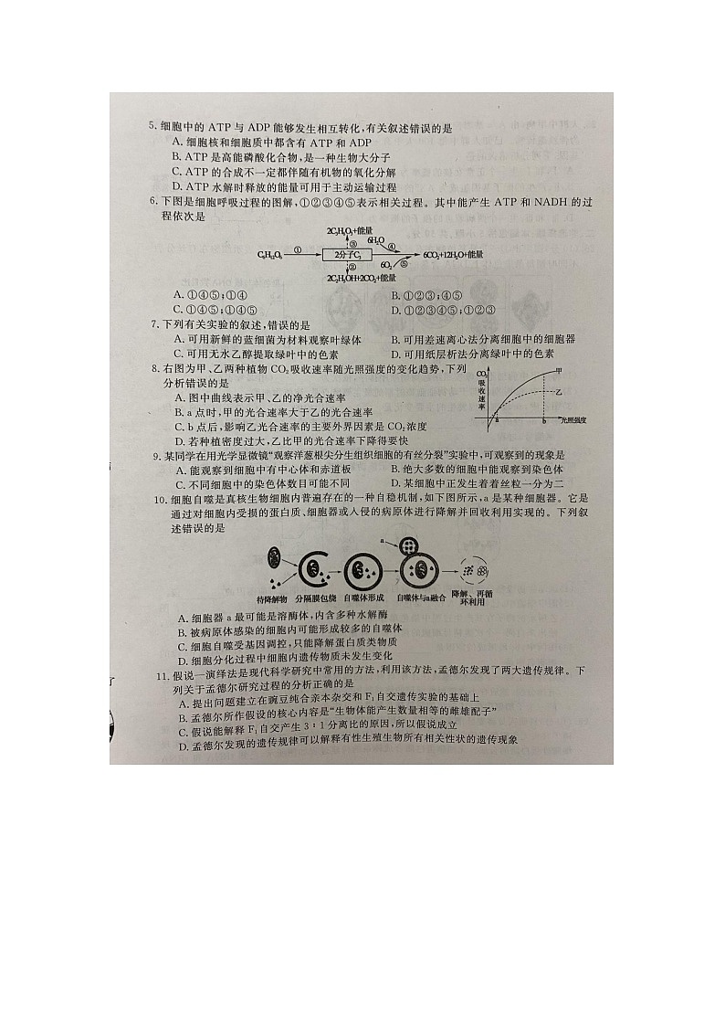 2021蚌埠太和中学高一下学期第四次月考生物试题扫描版含答案02