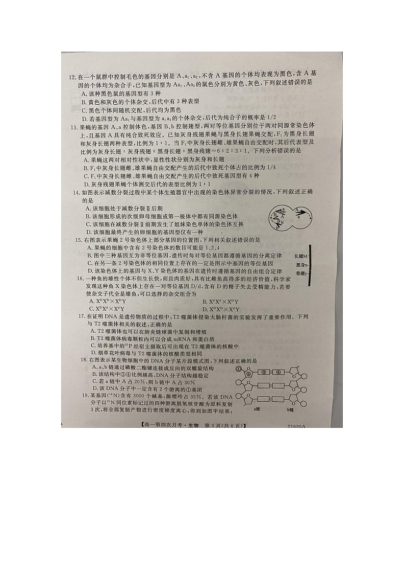 2021蚌埠太和中学高一下学期第四次月考生物试题扫描版含答案03