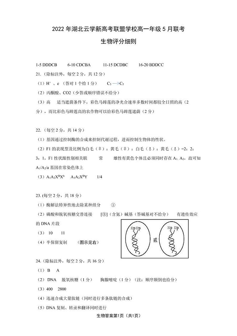 湖北省云学新高考联盟学校2021-2022学年高一下学期5月联考生物答案第1页