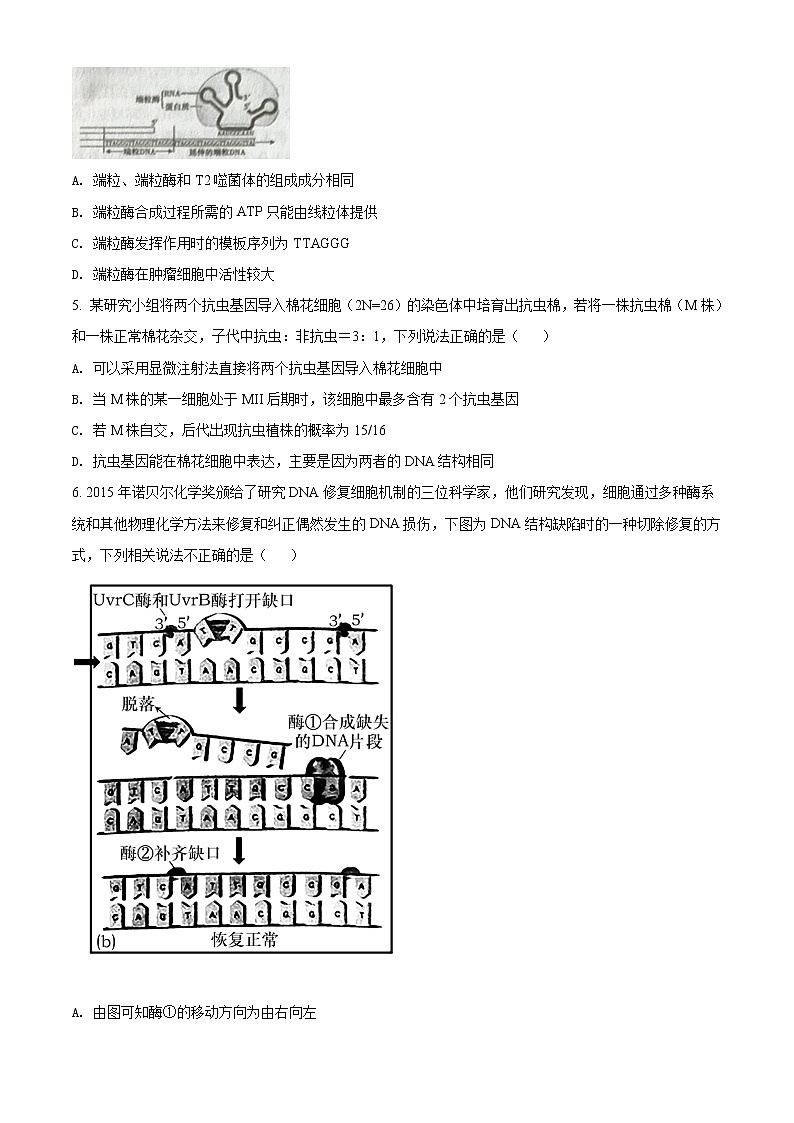 2022辽宁省辽南协作体高三第二次模拟考试生物试题含答案02
