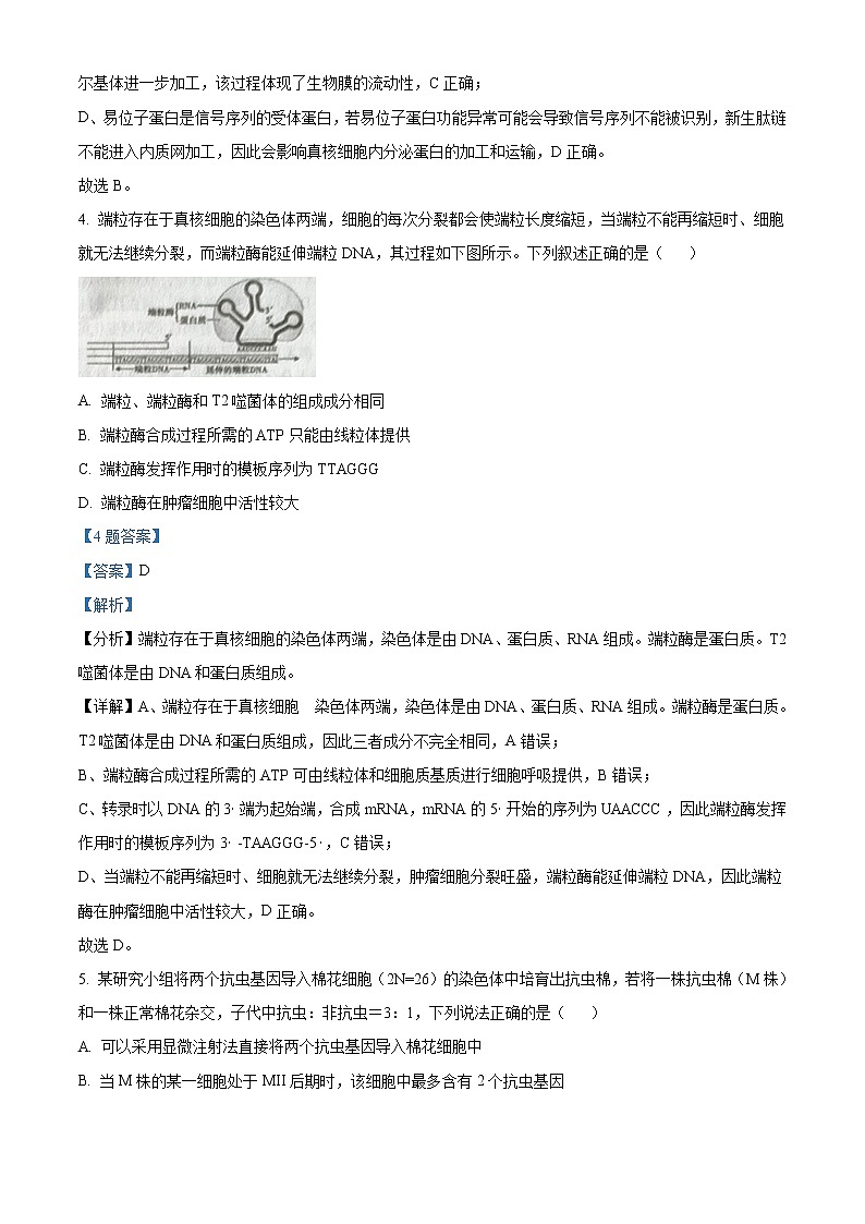 2022辽宁省辽南协作体高三第二次模拟考试生物试题含答案03