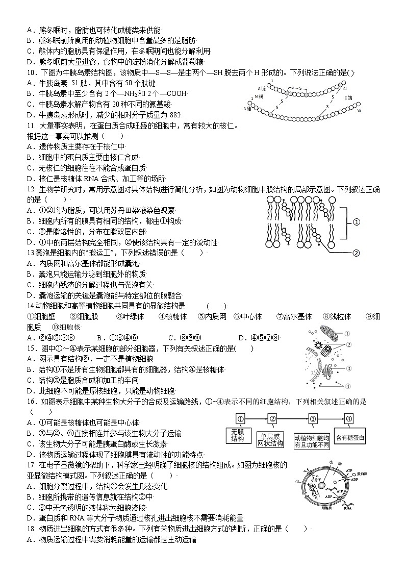 2022成都外国语学校高二下学期6月月考生物试题02