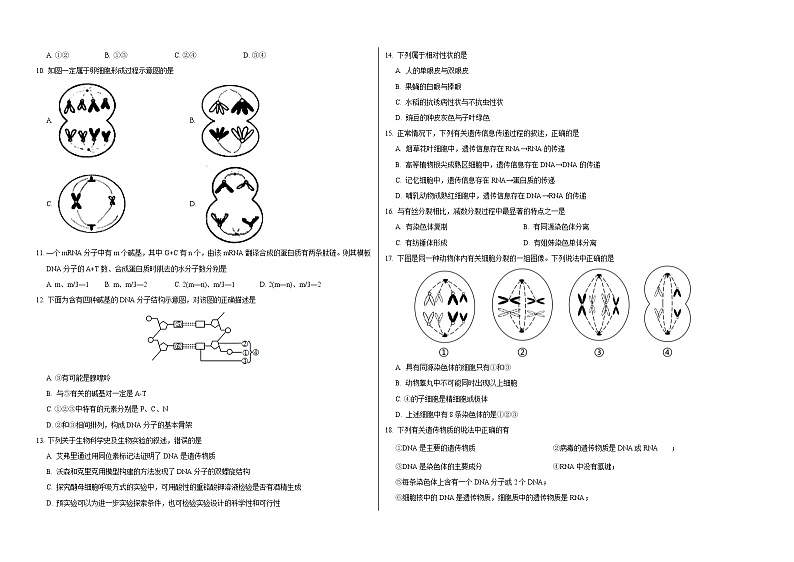 2020朔州怀仁县大地学校高一下学期期末生物试题含答案02
