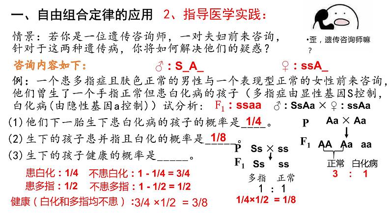 1.2 自由组合定律的应用与解题策略 课件【新教材】2020-2021学年高一生物人教版（2019）必修二08