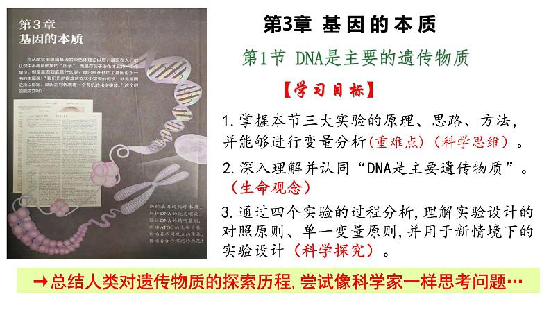 3.1 DNA是主要遗传物质 课件【新教材】2020-2021学年高一生物人教版（2019）必修二01