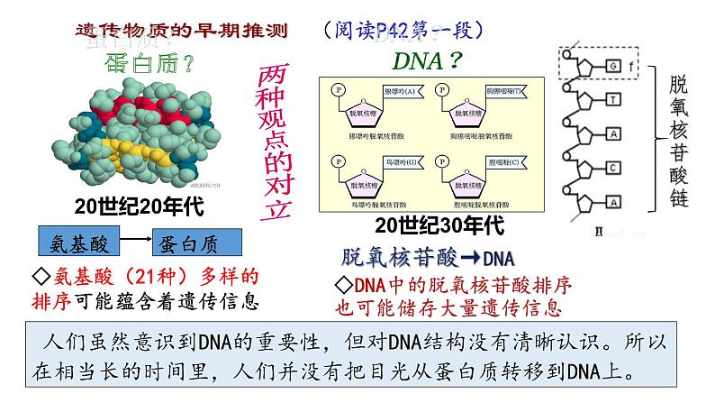 3.1 DNA是主要遗传物质 课件【新教材】2020-2021学年高一生物人教版（2019）必修二04