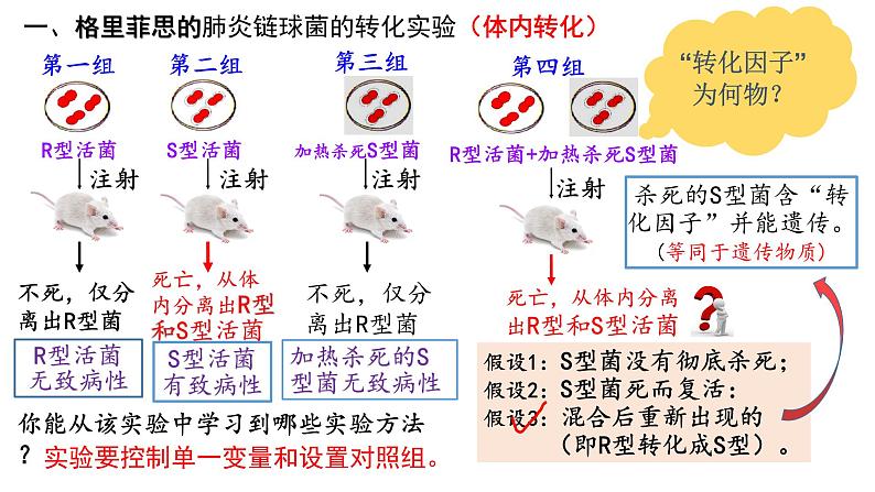 3.1 DNA是主要遗传物质 课件【新教材】2020-2021学年高一生物人教版（2019）必修二05