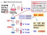 3.3 DNA复制 遗传与变异 课件【新教材】2020-2021学年高一生物人教版（2019）必修二