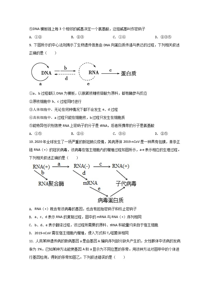 2022安庆桐城八中高二上学期第一次月考生物试题含答案第3页
