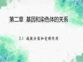 2022年新教材高中生物人教版（2019）必修二2.1 减数分裂和受精作用 课件