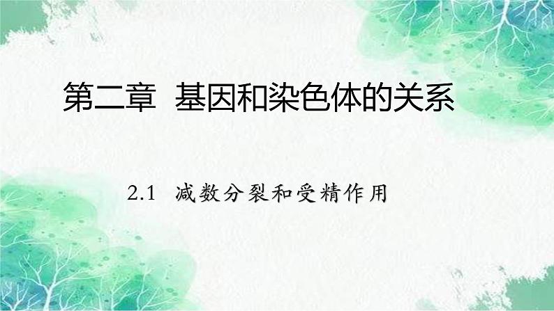 2022年新教材高中生物人教版（2019）必修二2.1 减数分裂和受精作用 课件第1页