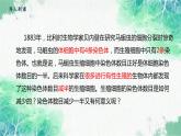 2022年新教材高中生物人教版（2019）必修二2.1 减数分裂和受精作用 课件